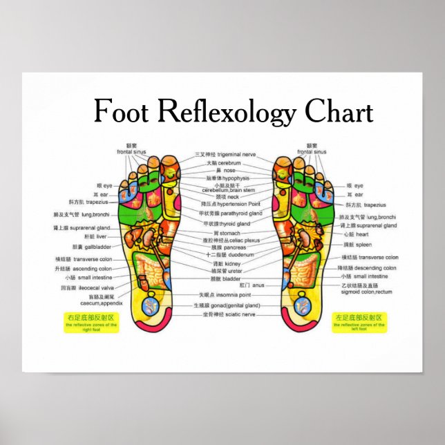 Fotreflexologi - 16 x 12 tum poster (Framsidan)