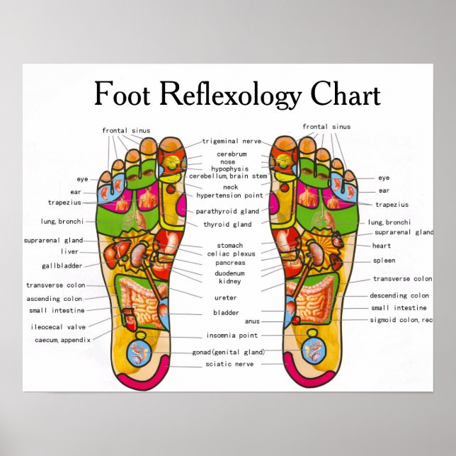 Fotreflexologi - 20 x 16 tum poster (Framsidan)