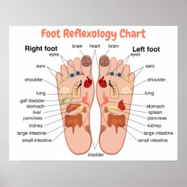 Fotreflexologi 20 x 16 tum poster