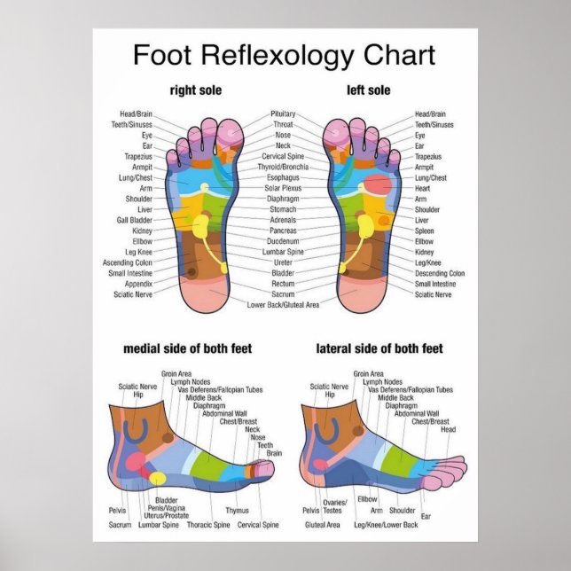 Fotreflexologi 22 x 29 tum poster (Framsidan)