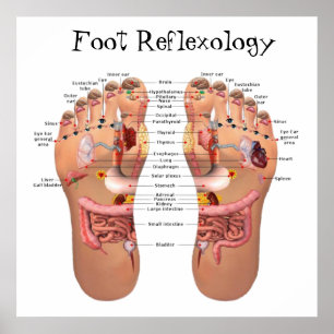 Fotreflexologi 24 x 24 tum poster