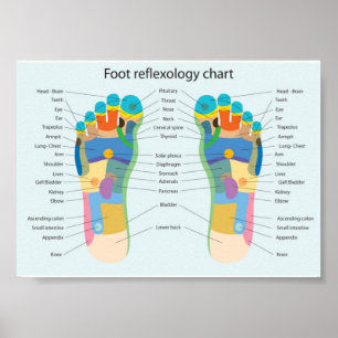 fotreflexologi-7x5" poster