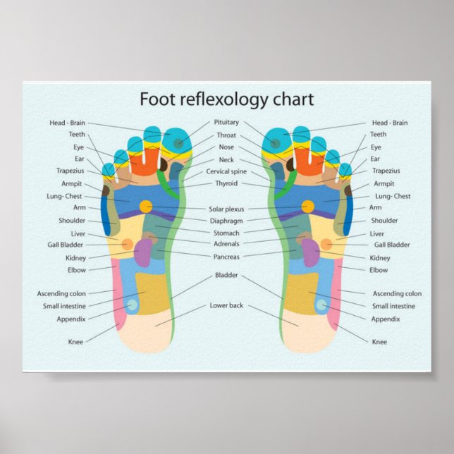 fotreflexologi-7x5" poster (Framsidan)
