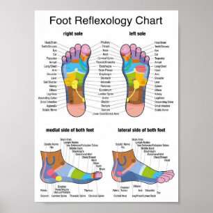 fotreflexologi 7x9" poster