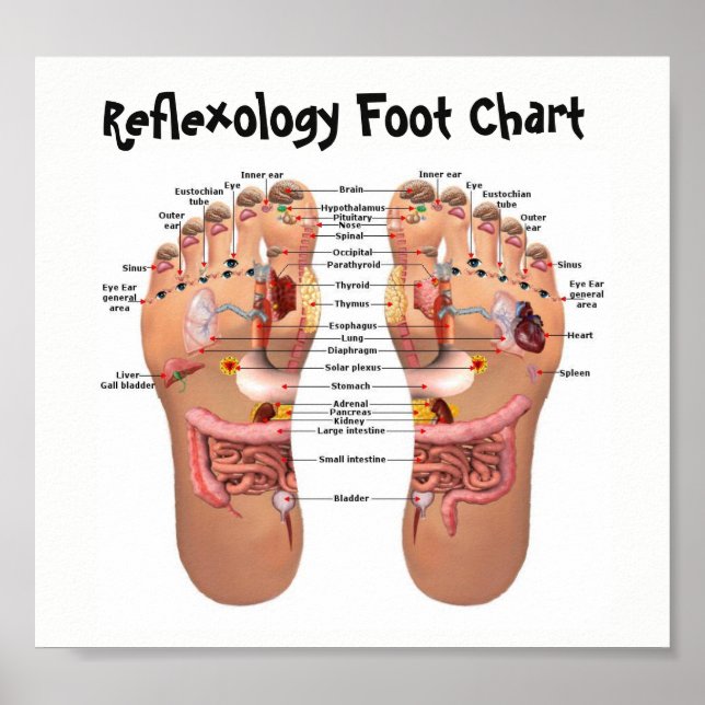 fotreflexologi 8x7" poster (Framsidan)