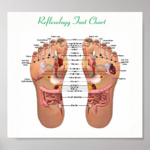 fotreflexologi 8x7" poster