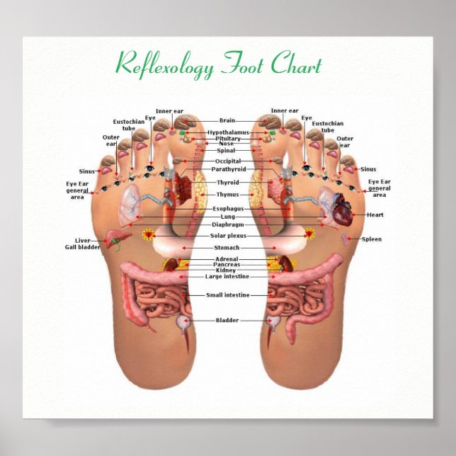 fotreflexologi 8x7" poster (Framsidan)