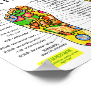 Fotreflexologisk diagram 10x7" poster