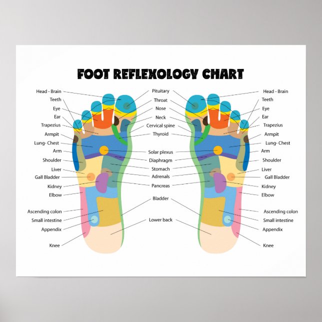 Fotreflexologisk diagram 20 x 16 tum, (projektions poster (Framsidan)