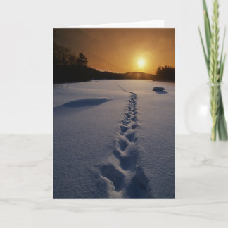 Fotspår i den tomma snön noterar kortet kort