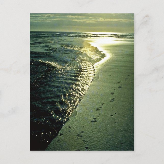 Fotspår i sand, Piha, Nordön Vykort (Framsida)