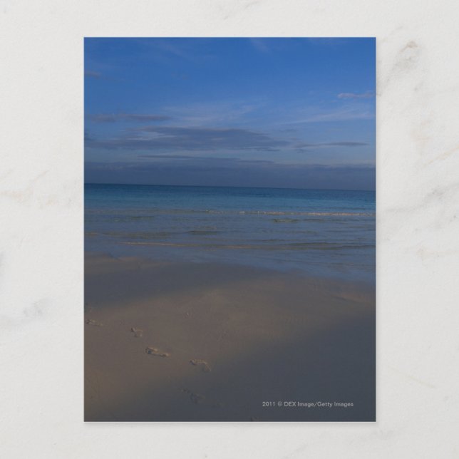 Fotspår på strand vykort (Framsida)