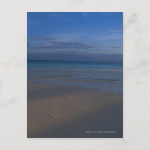 Fotspår på strand vykort