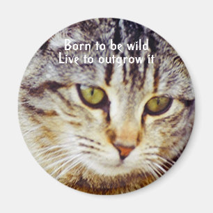 Fött att vara vild magnet