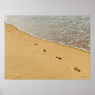 Fottryck i Sand med vinkar Poster