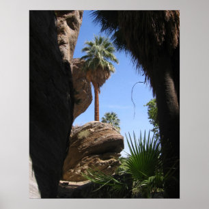 Fotvandra i indisk kanjon, Palm Spring, CA, öken Poster