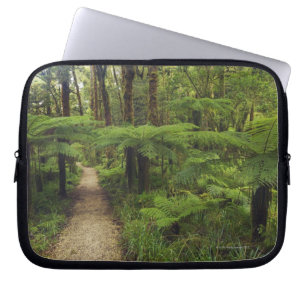 Fotvandra slingan i rainforest med fernträd - laptop sleeve