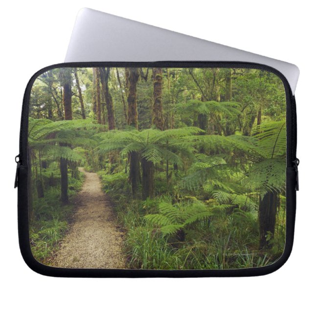 Fotvandra slingan i rainforest med fernträd - laptop sleeve (Framsidan)