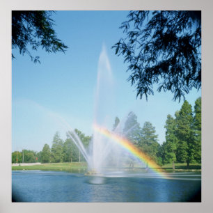 FOUNTAIM OCH RAINBOW ÄR SKOGSPARK POSTER