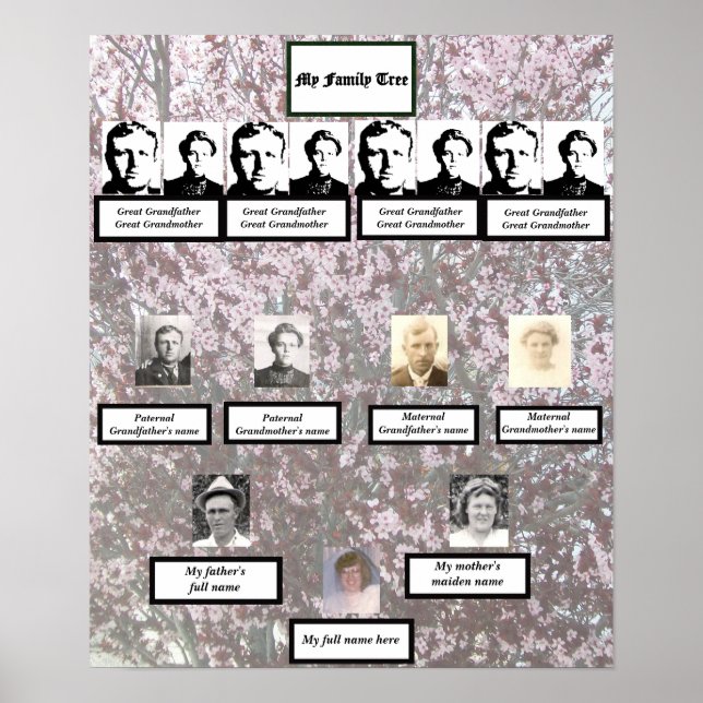 Four Generation Plum Blossom Family Tree Poster (Framsidan)
