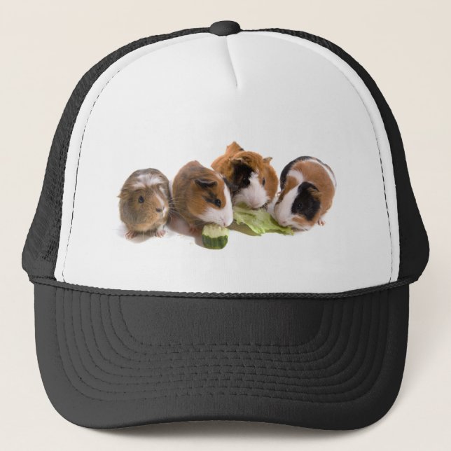 four guinea pigs who eat, truckerkeps (Framsida)