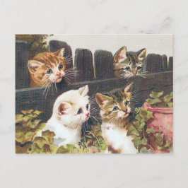 "Four Kittens" Vintage Vykort