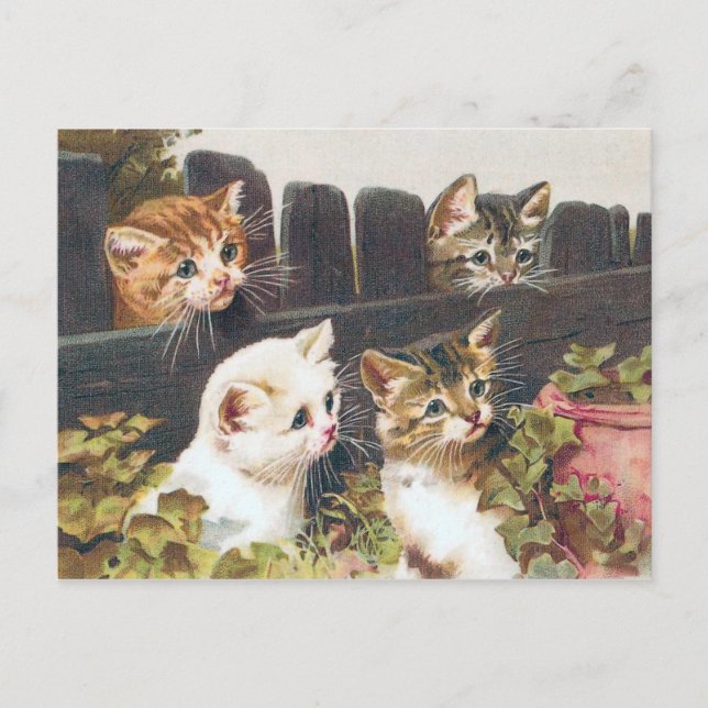 "Four Kittens" Vintage Vykort (Framsida)