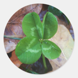 Four leaf clover Sticker Runt Klistermärke