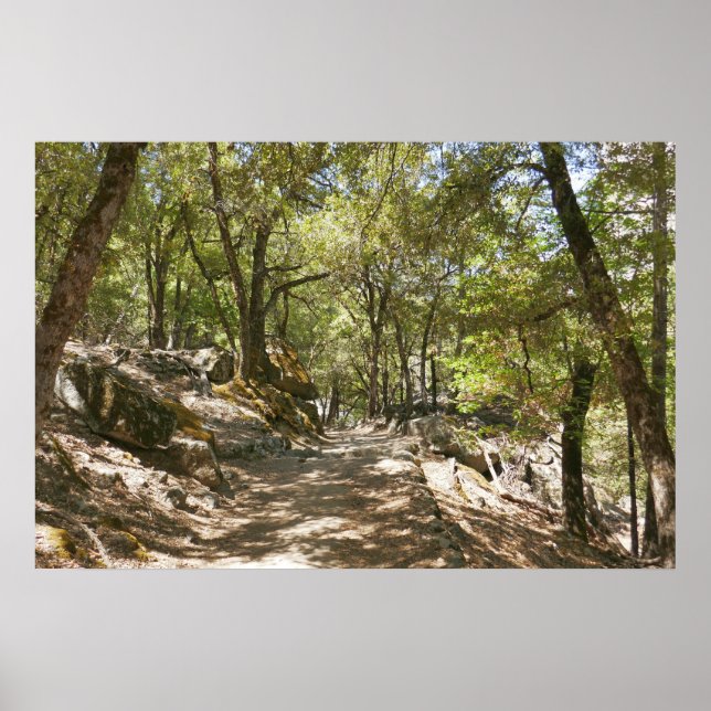 Four Mile Trail Poster (Framsidan)