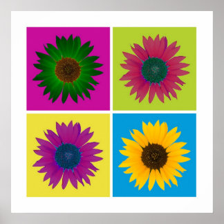 Four Sunflowers in Color Poster