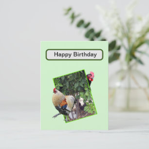 **"Fowl Play: Chicken Gömmer och söker i 3D"* Vykort