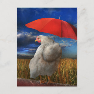 Fowl Weather - Predicate Rain Vykort