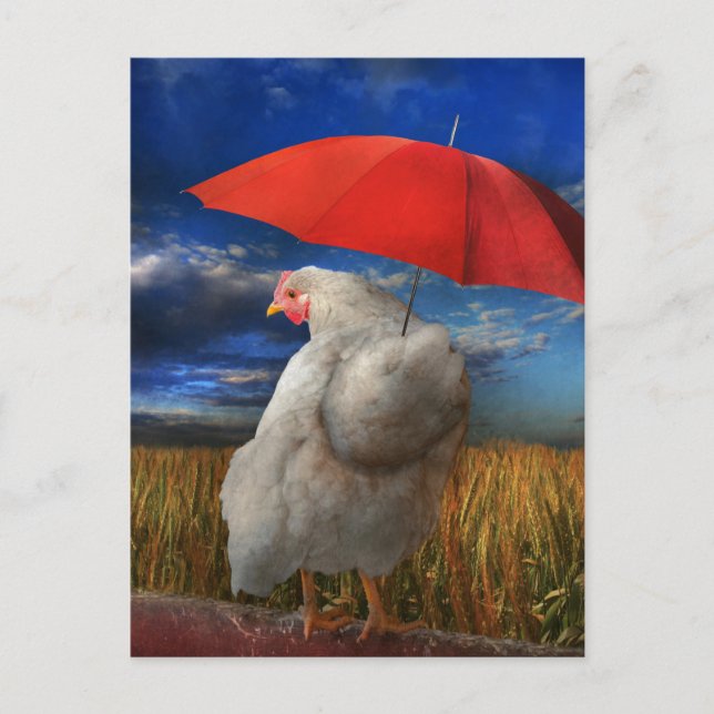 Fowl Weather - Predicate Rain Vykort (Framsida)