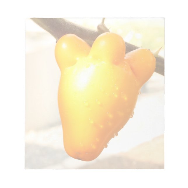 Fox Ansikte Fruit Anteckningsblock (Framsida)