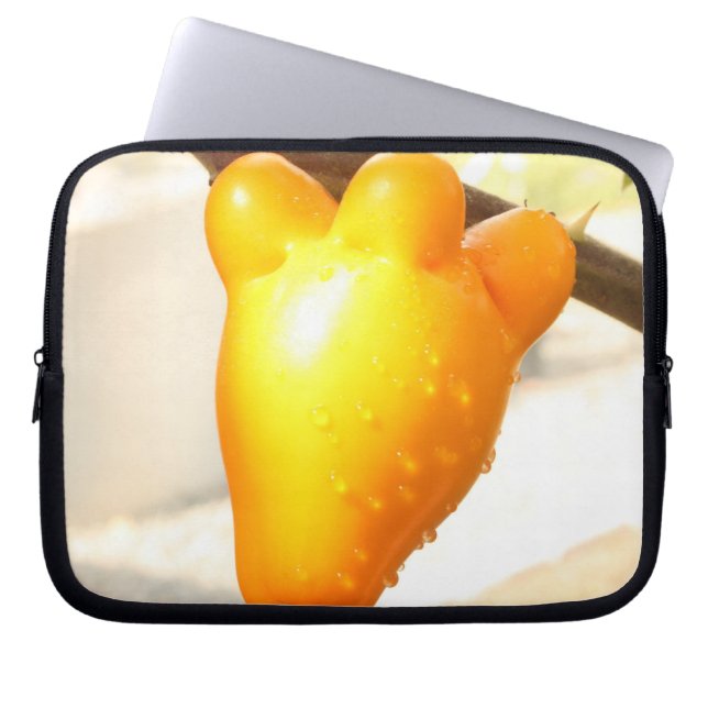 Fox Ansikte Fruit Laptop Sleeve (Framsidan)
