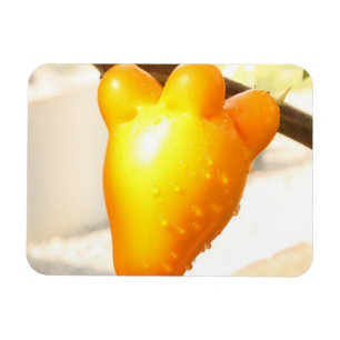 Fox Ansikte Fruit Magnet