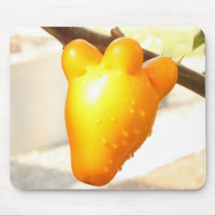 Fox Ansikte Fruit Mousepad Musmatta