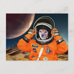Fox är en astronaut nr 2 vykort