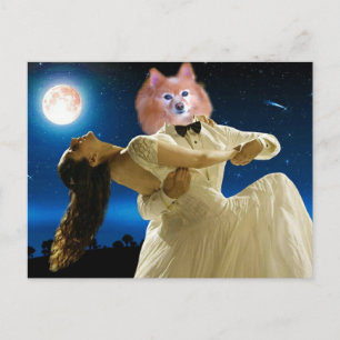 Fox är en dansande fot vykort