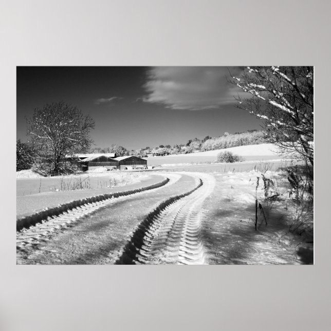 Fox Backe Farm Poster (Framsidan)