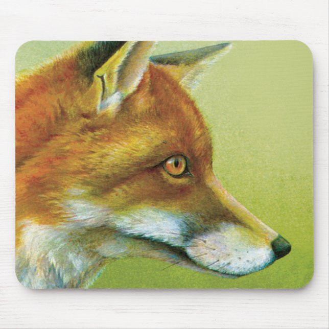 Fox bra art-musmatta musmatta (Framsidan)