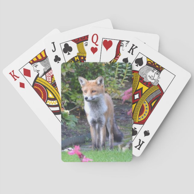 Fox Casinokort (Baksidan)