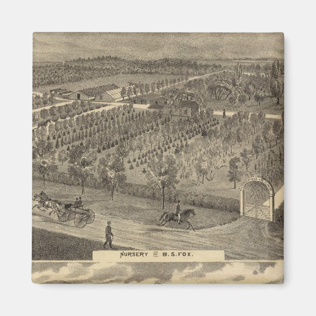 Fox, dagis, trädgårdsmästare magnet (Framsidan)