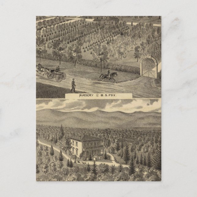 Fox, dagis, trädgårdsmästare vykort (Framsida)