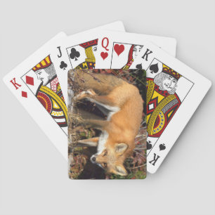 Fox Deck för uppspelningskort Spel Kort