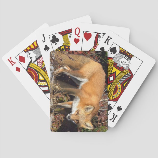 Fox Deck för uppspelningskort Spel Kort (Baksidan)
