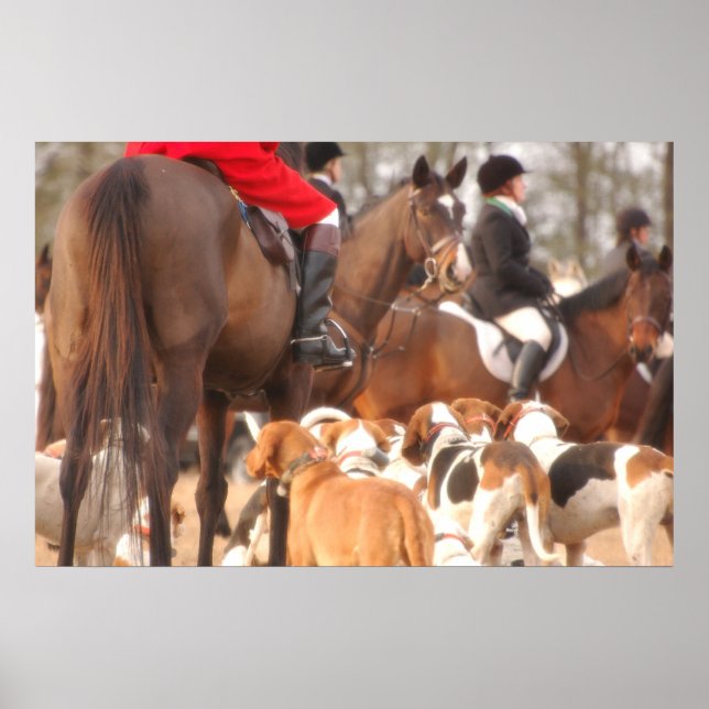 Fox Hunt Poster (Framsidan)