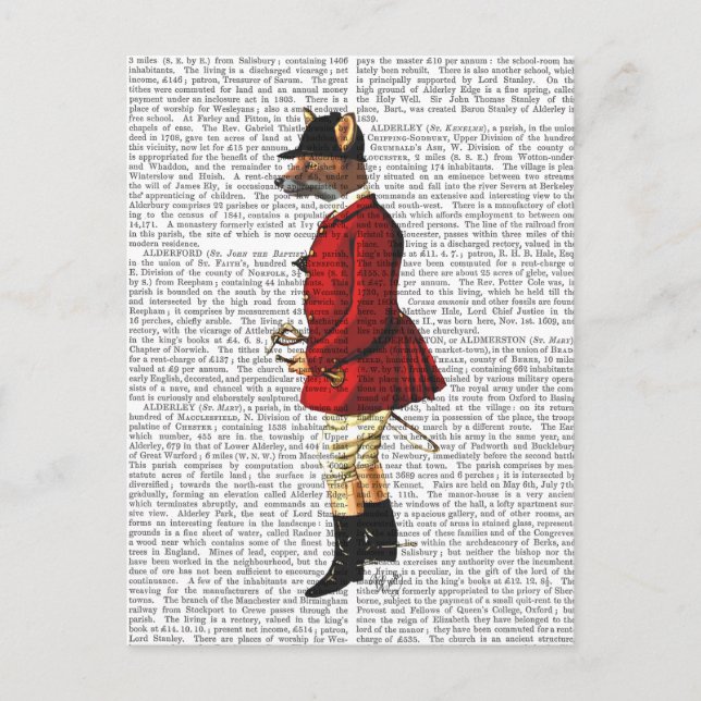 Fox Hunter 1 2 Vykort (Framsida)