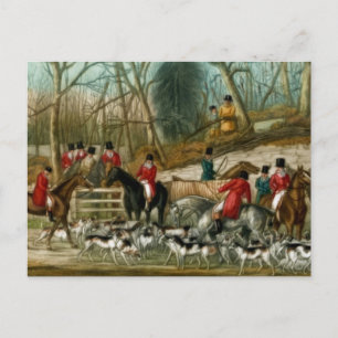 Fox Hunting 1 Vykort