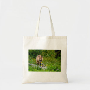 Fox Hunting Tygkasse